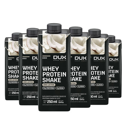 Kit 12 Whey Protein Shake