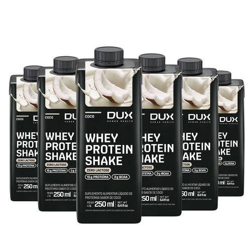 Kit 12 Whey Protein Shake