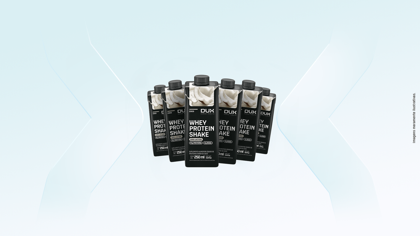 Kit 12 Whey Protein Shake